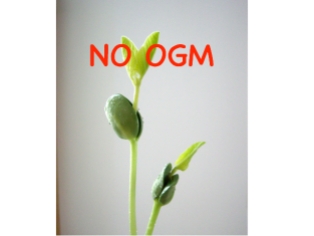 No OGM